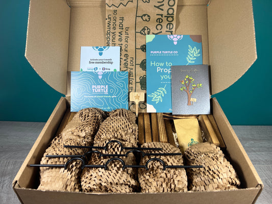 Plant Propagation Gift Set #2