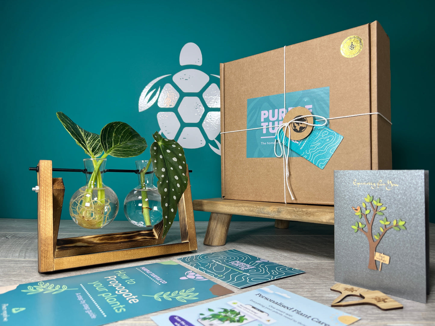 Plant Propagation Gift Set #2