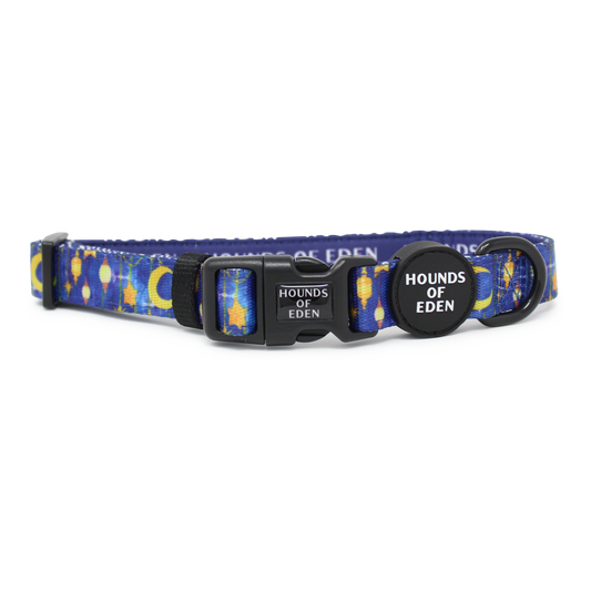 Arabian Nights - Blue and Gold Dog Collar