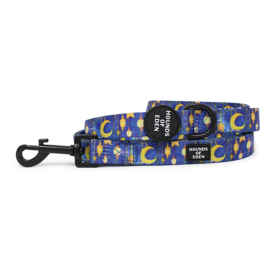 Arabian Nights - Blue and Gold Dog Lead