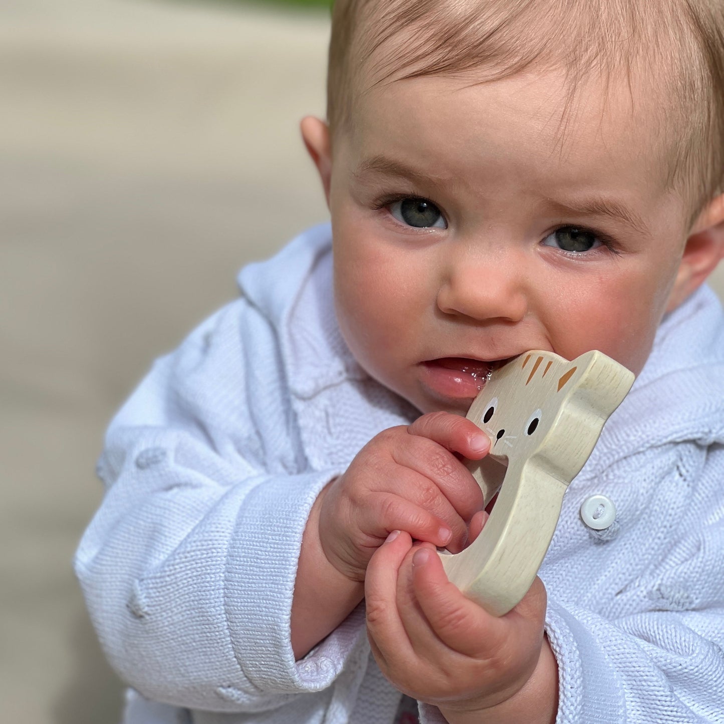 Bird & Kitten Teethers