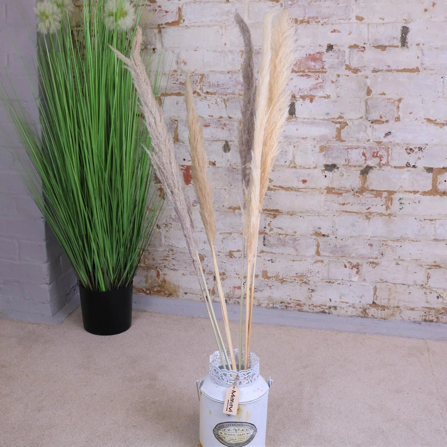 Tall Pampas Grass Pack of 6 Light and Dark Long Stems 105cm
