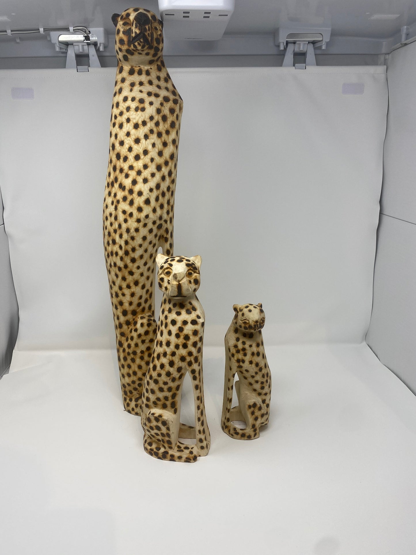 Swazi Cheetah