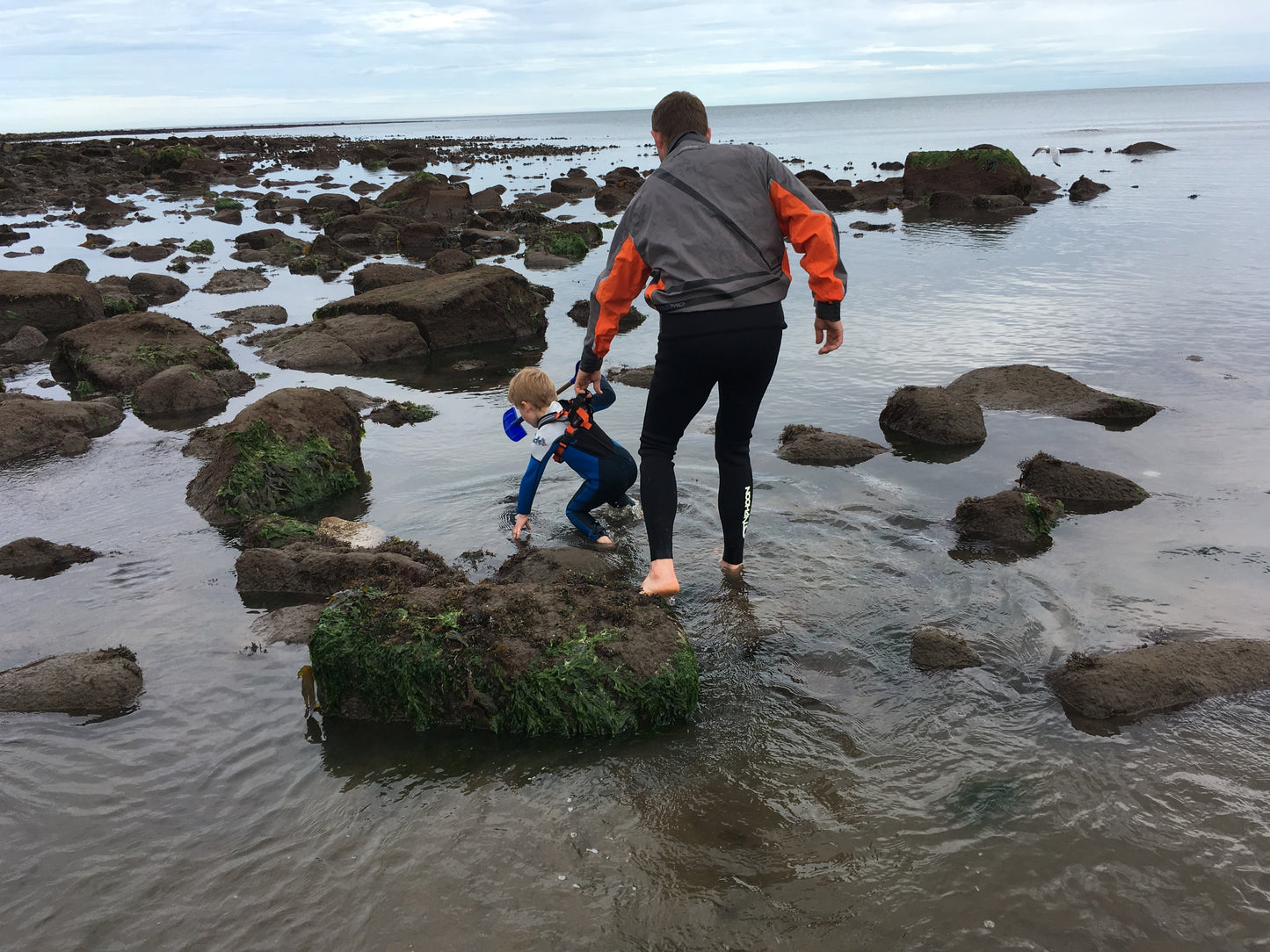 Original Hobbledehoo