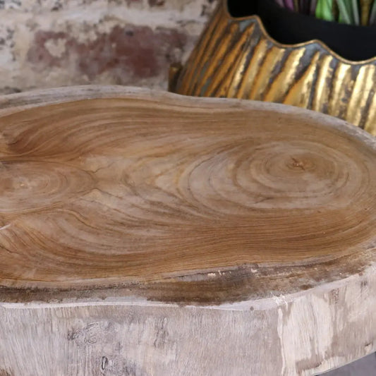 Tree Root Side Table Plant Stand