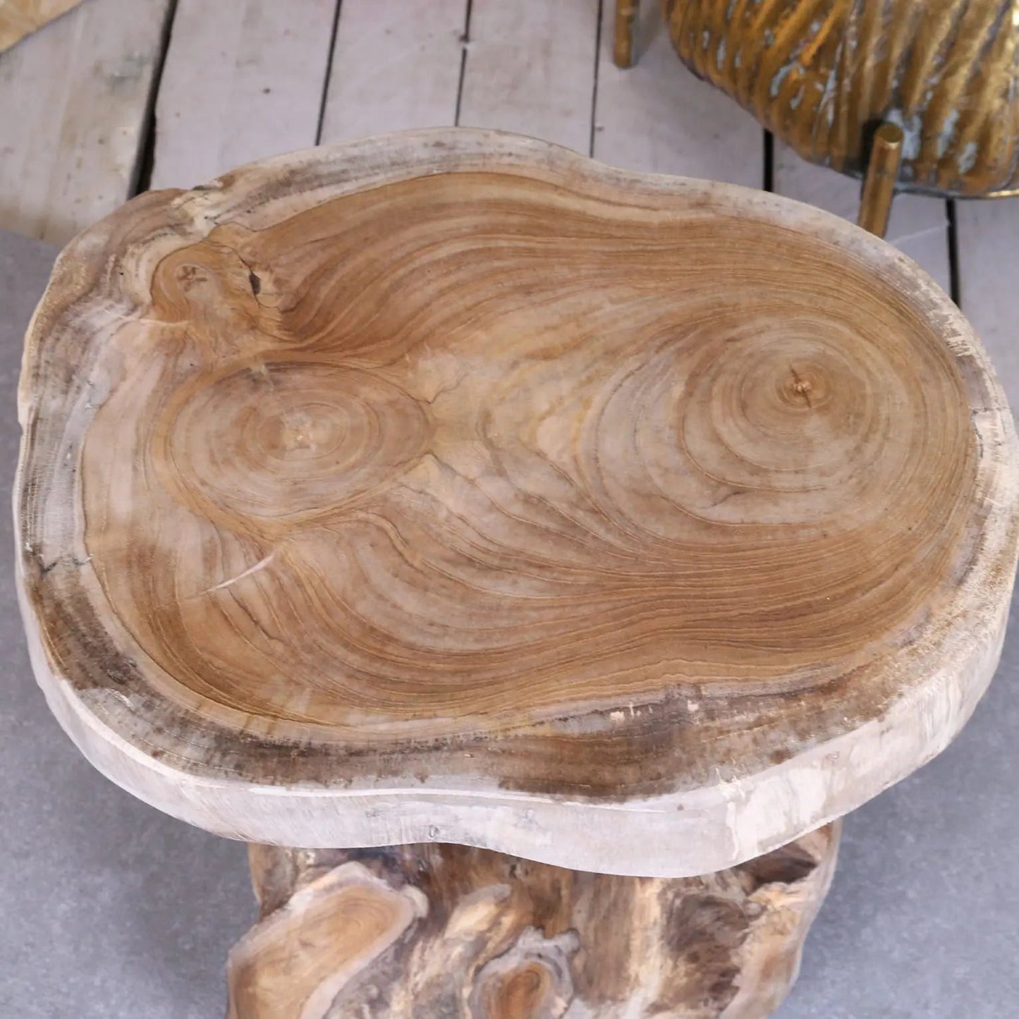 Tree Root Side Table Plant Stand