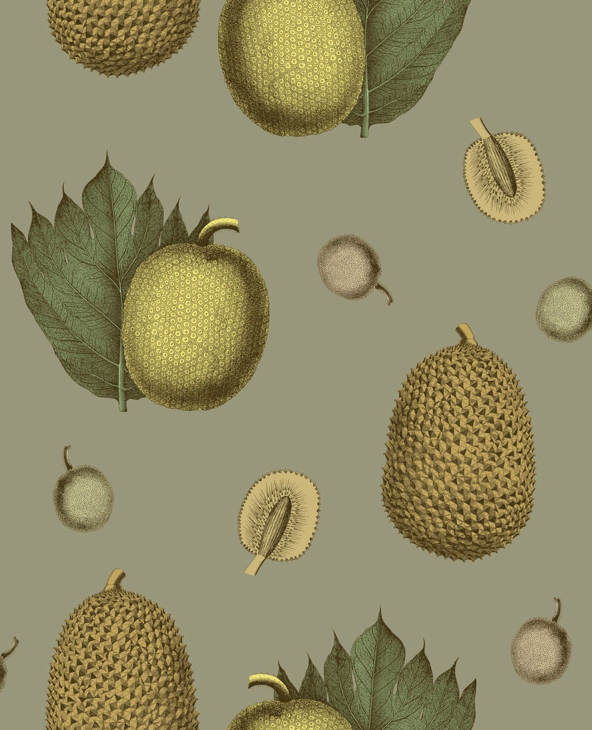 Tropical Fruit Wallpaper- Coral