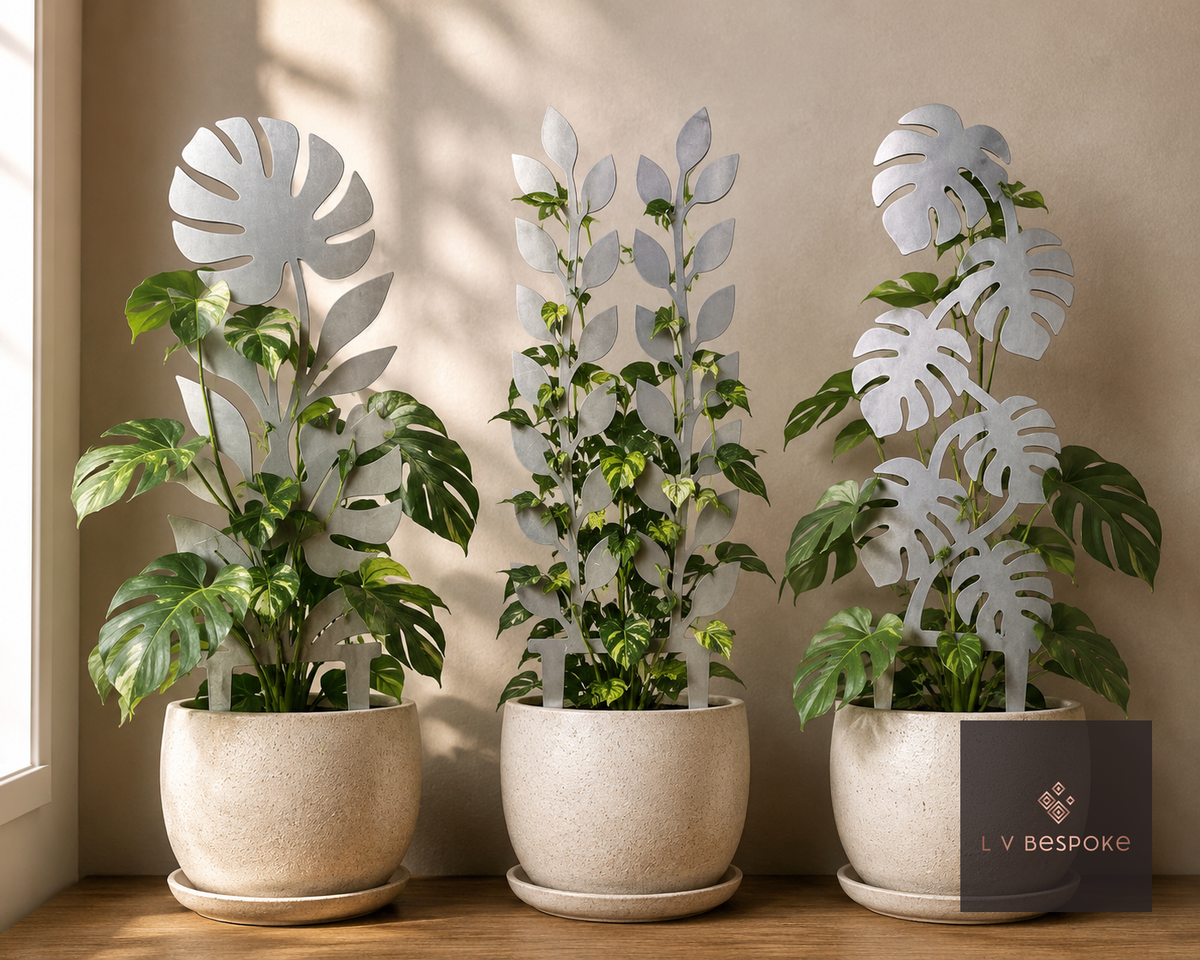 Indoor Plant Support