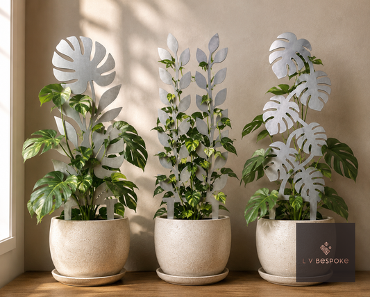 Indoor Plant Support
