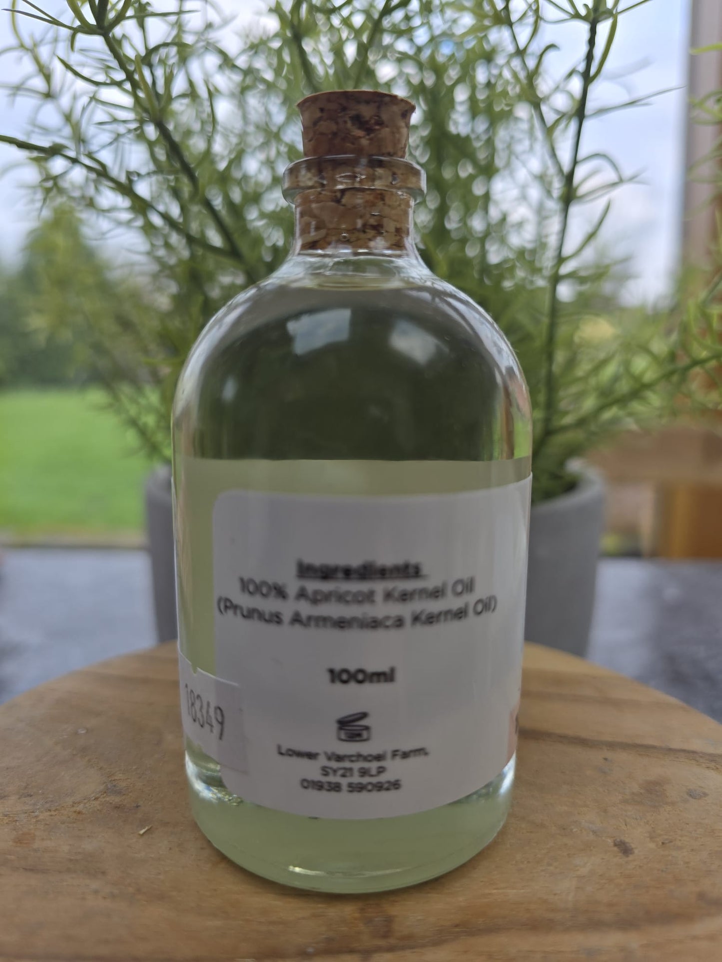 Apricot Kernel Oil