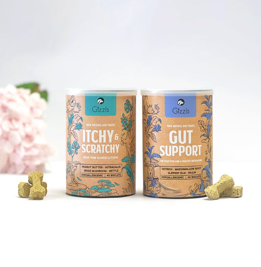 The Itchy Skin & Tummy Bundle