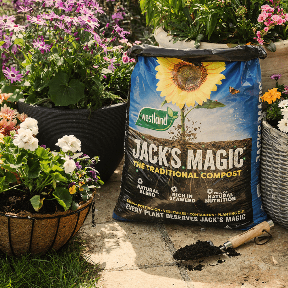 Jack's Magic All Purpose Compost Bulk Buy
