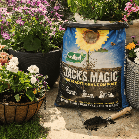 Jack's Magic All Purpose Compost Bulk Buy