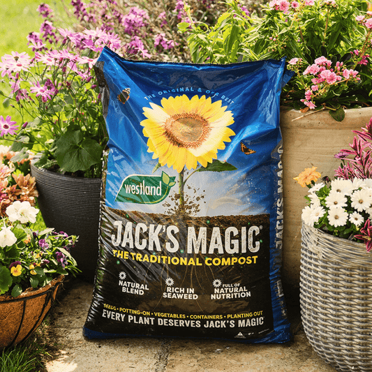 Jack's Magic All Purpose Compost Bulk Buy