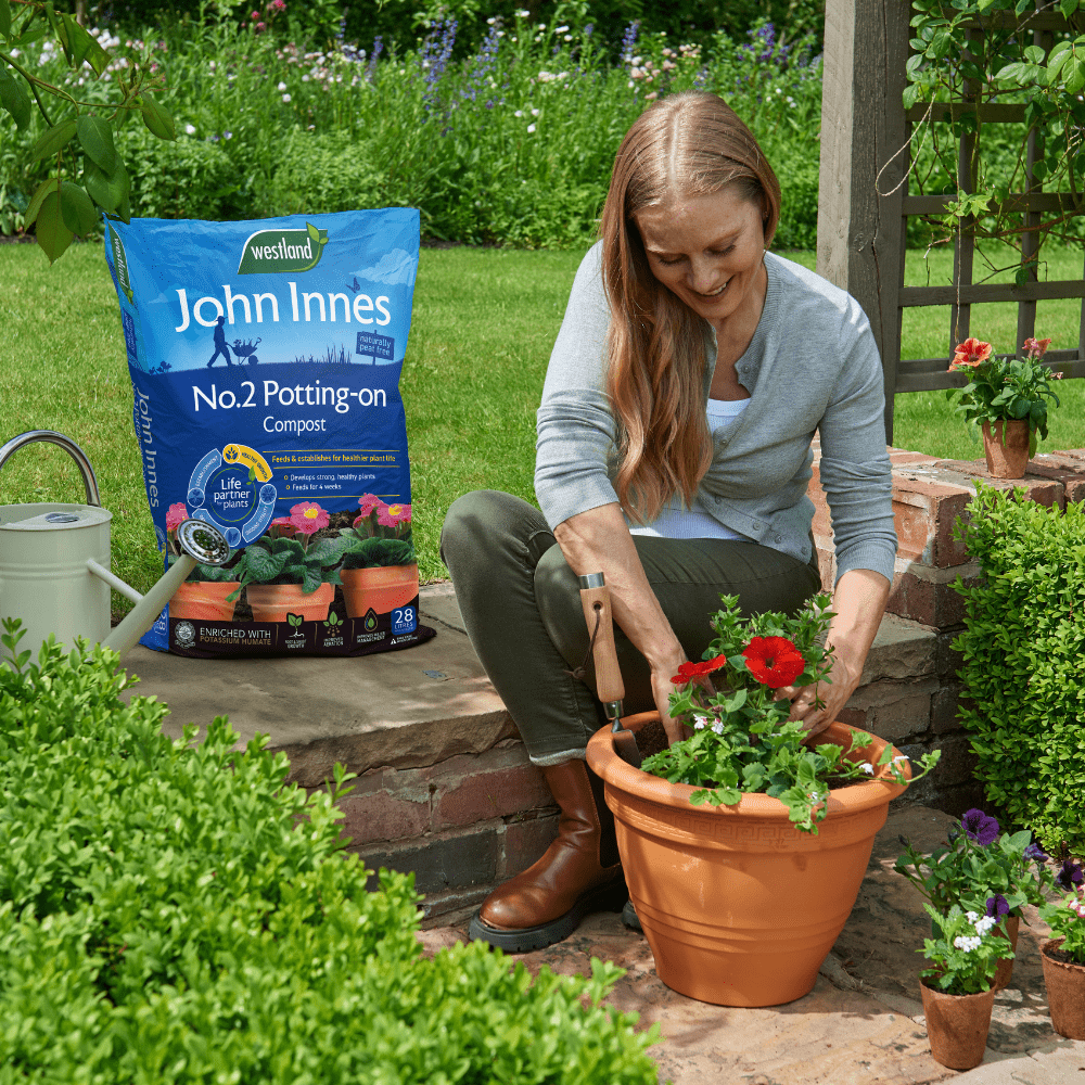 John Innes Peat Free No.2 Potting-On Compost 28ltr Bulk Buy