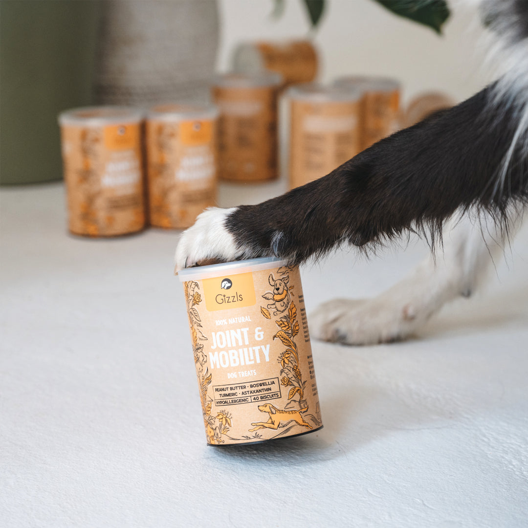 Joint & Mobility Dog Treats