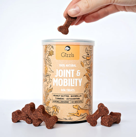 Joint & Mobility Dog Treats