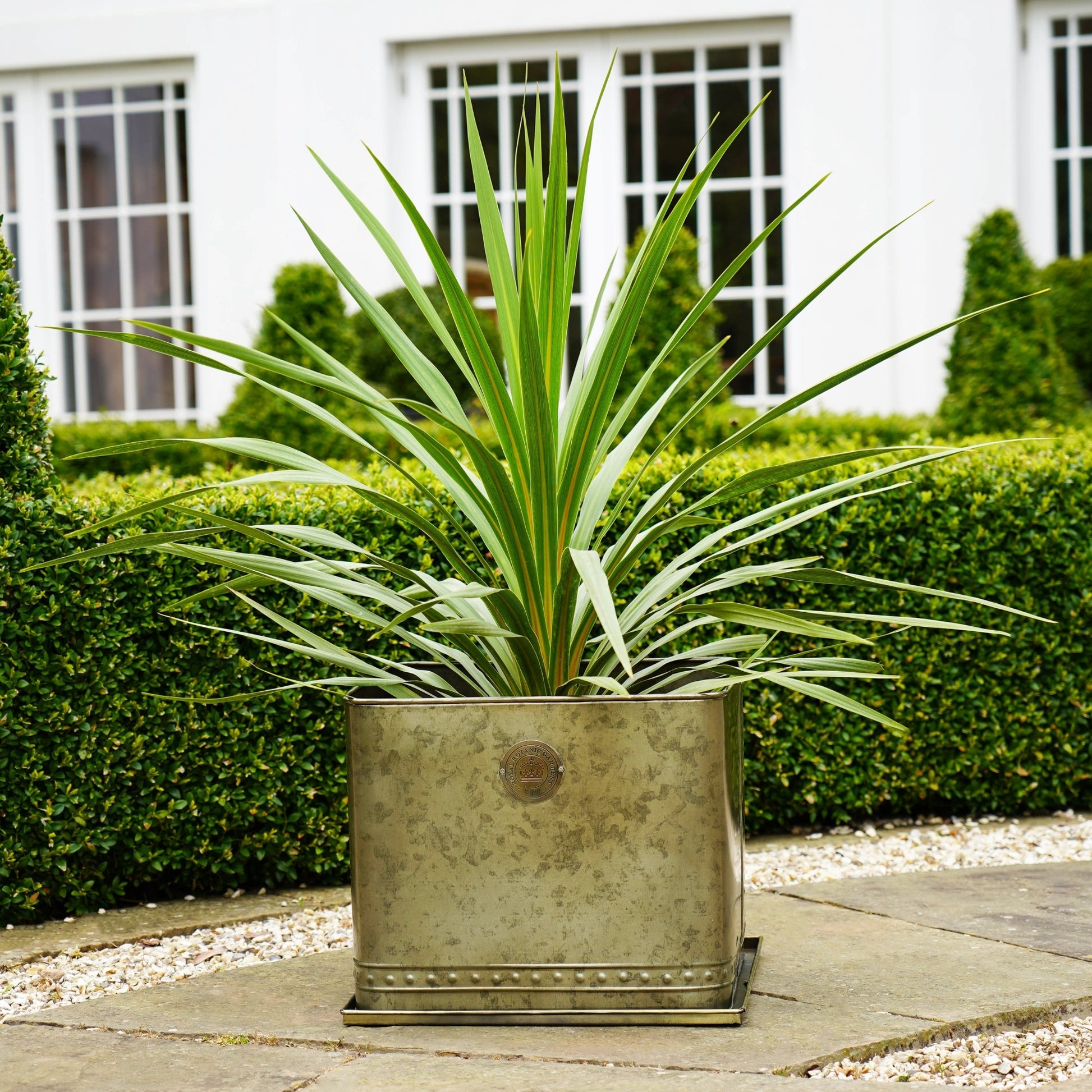 TheFoalyard Ivyline Kew Royal Botanic Gardens Aged Brass Regency Outdoor Trough Planter