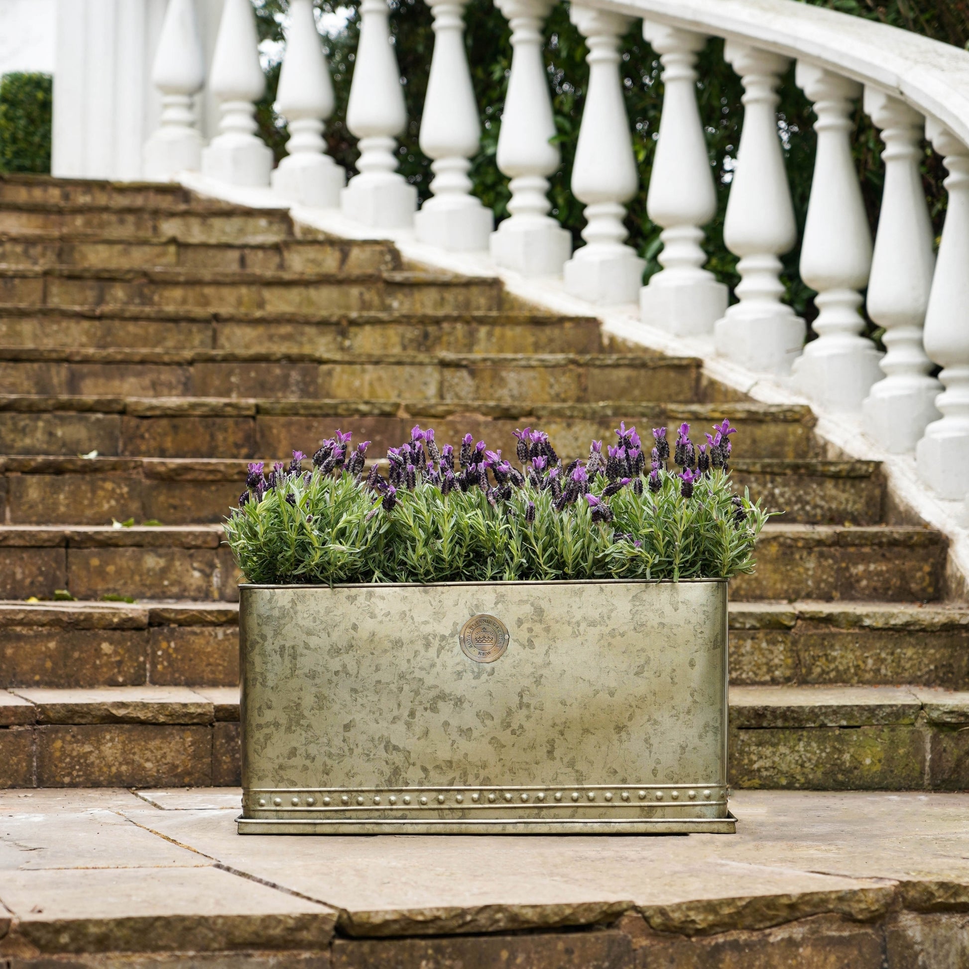 TheFoalyard Ivyline Kew Royal Botanic Gardens Aged Brass Regency Outdoor Trough Planter