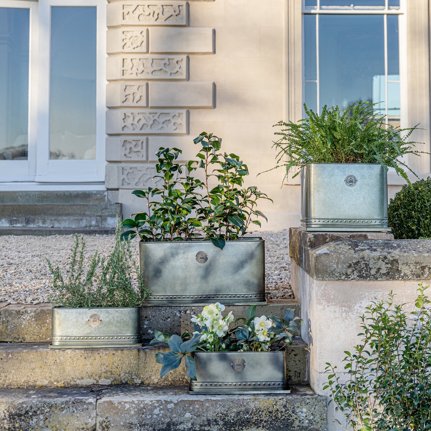 TheFoalyard Ivyline Kew Royal Botanic Gardens Aged Brass Regency Outdoor Trough Planter