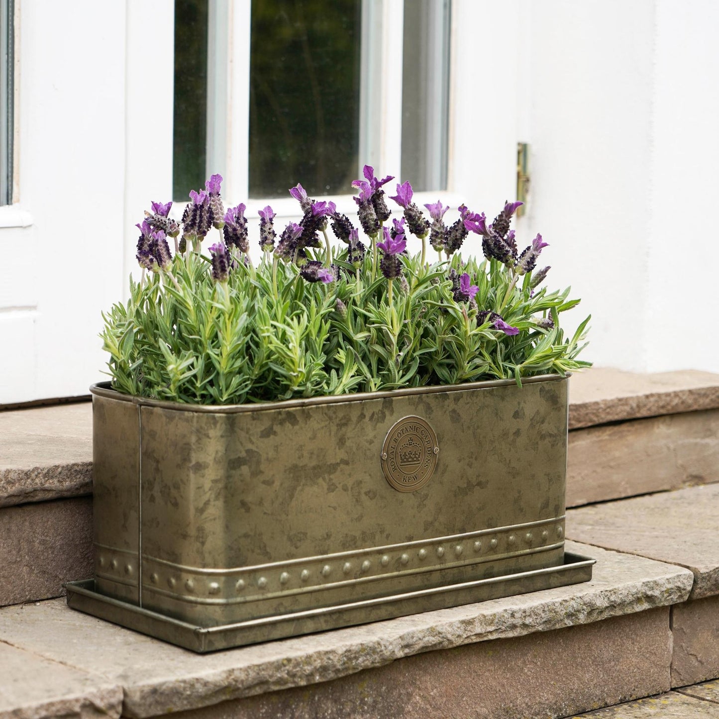 TheFoalyard Ivyline Kew Royal Botanic Gardens Aged Brass Regency Outdoor Trough Planter