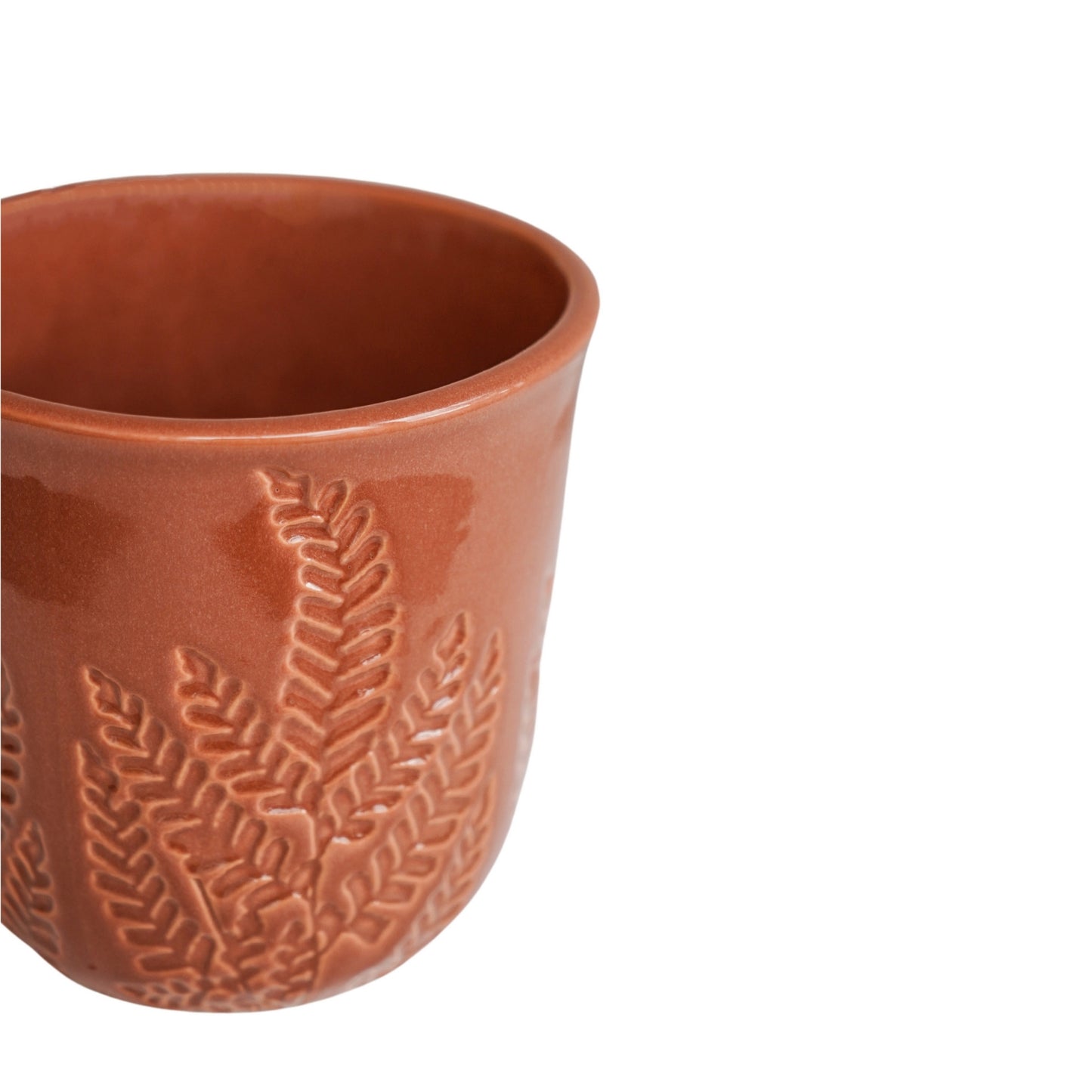 TheFoalyard Ivyline Kew Royal Botanic Gardens Embossed Fern Rust Planter