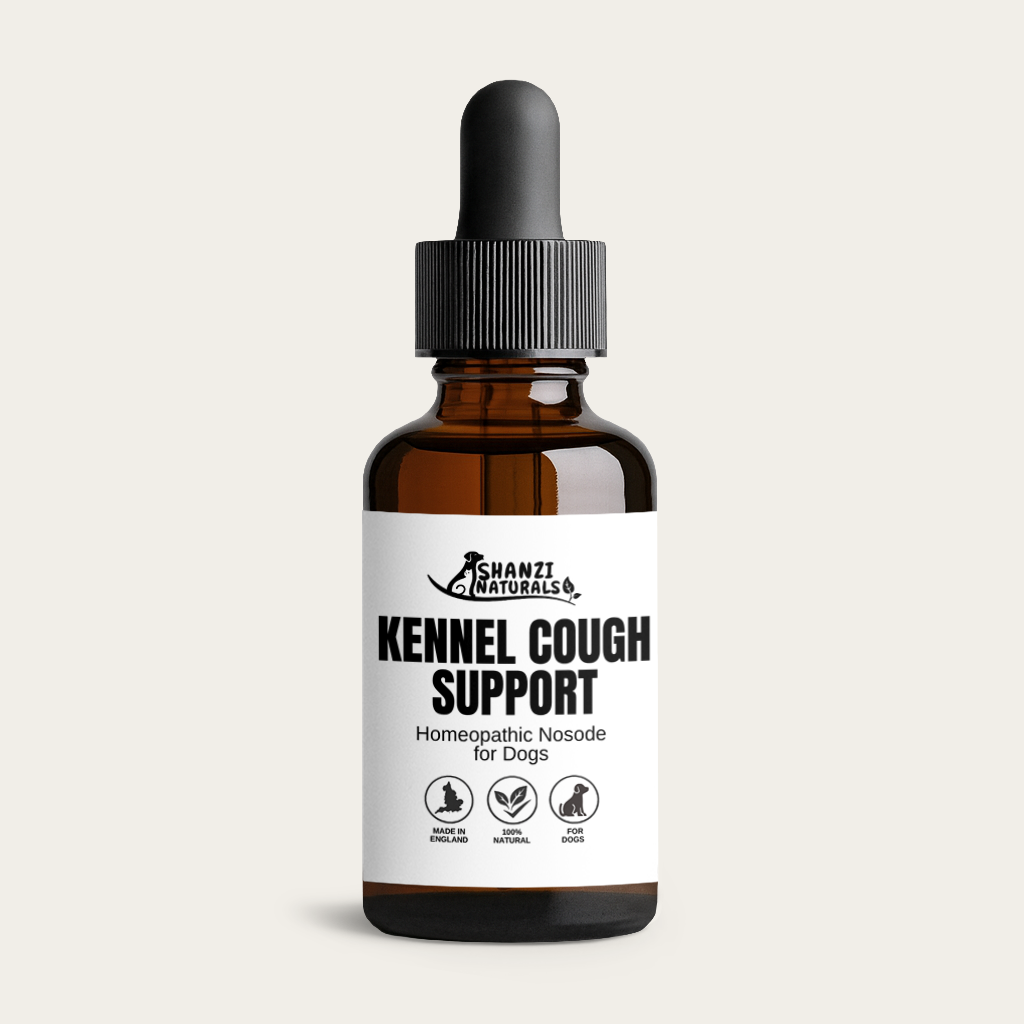 Kennel Cough Nosode – Natural Homeopathic Support for Dogs
