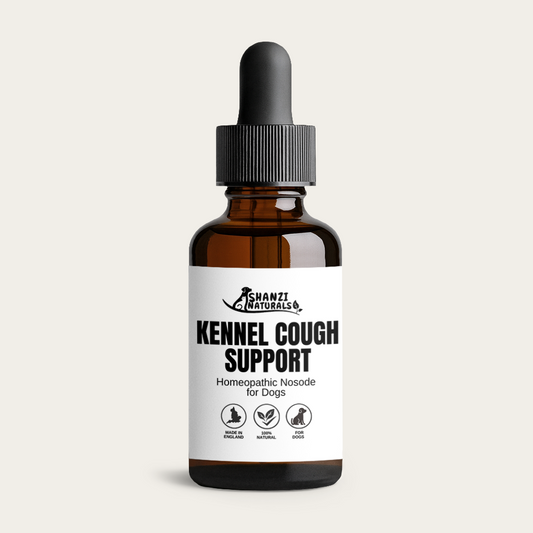 Kennel Cough Nosode – Natural Homeopathic Support for Dogs