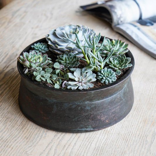 TheFoalyard Ivyline Kew Royal Botanic Gardens Handthrown Statement Bowl Old Bronze