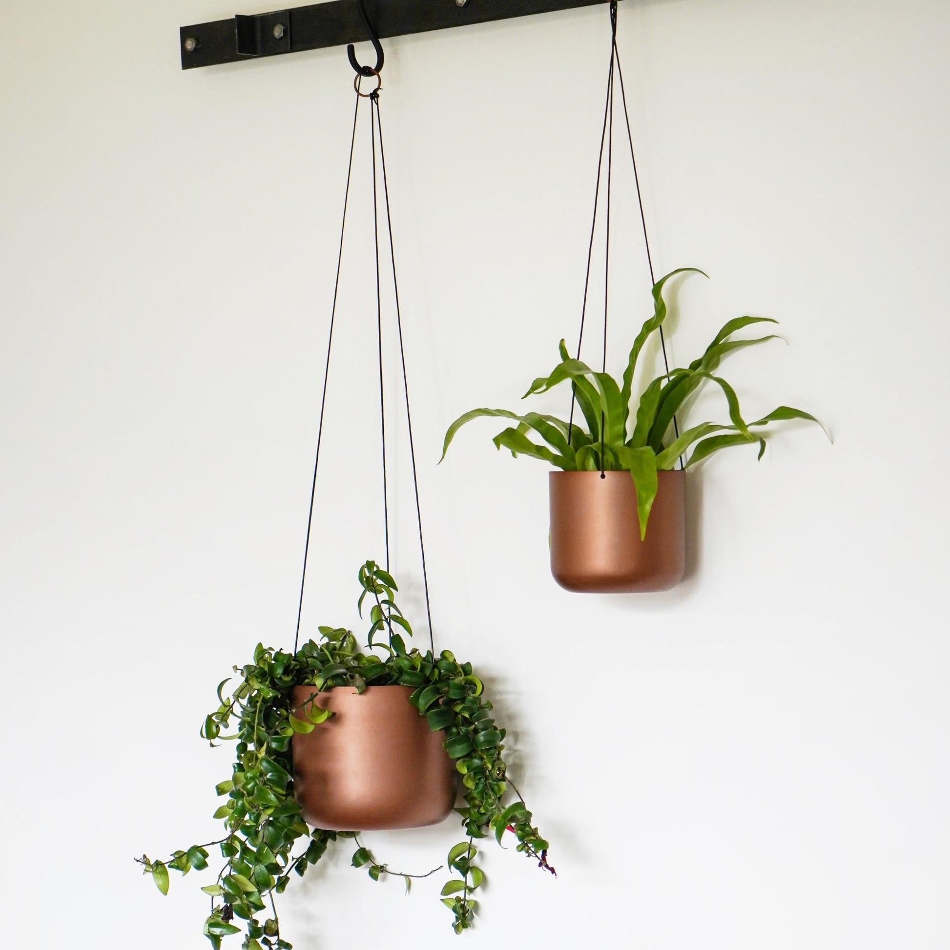 TheFoalyard Ivyline Kew Royal Botanic Gardens Matt Copper Hanging Planter with Hook