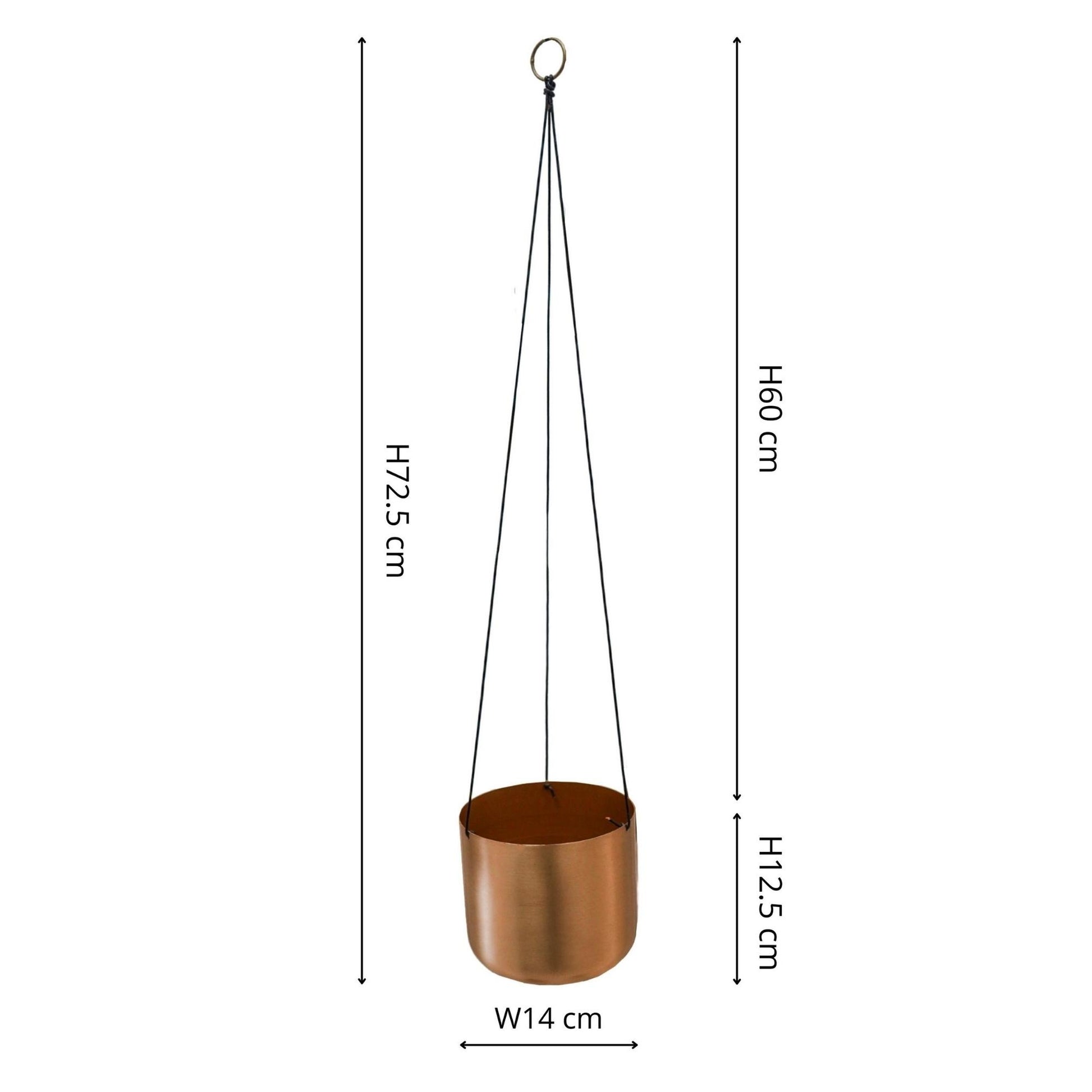 TheFoalyard Ivyline Kew Royal Botanic Gardens Matt Copper Hanging Planter with Hook