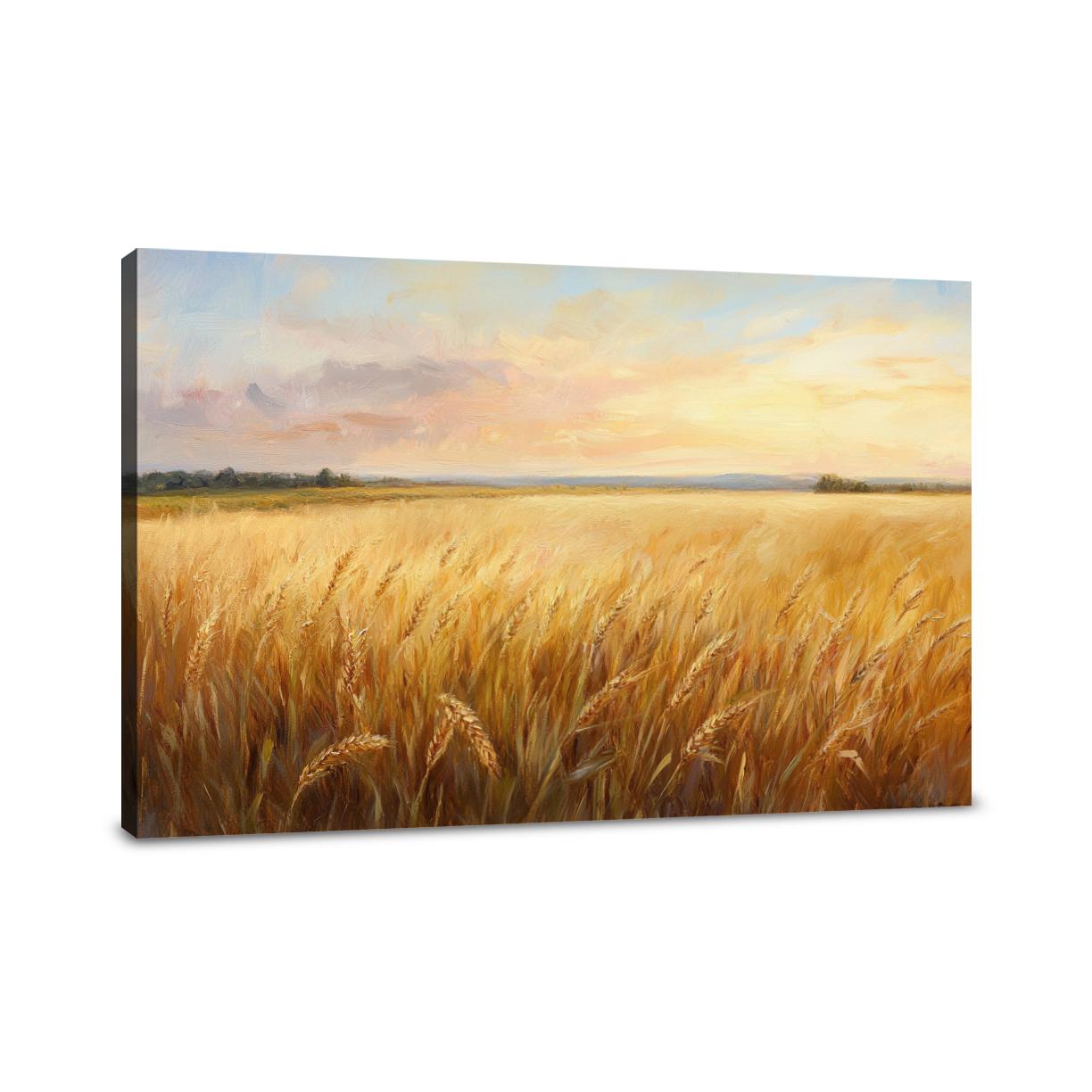 Golden Wheat Sunrise Canvas