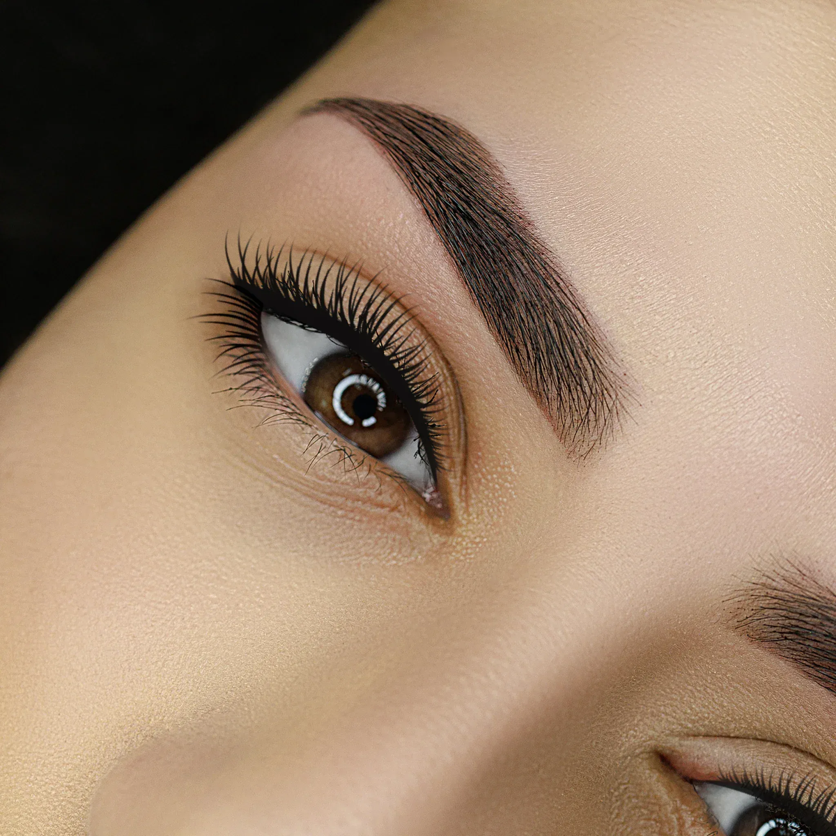 Beginners Brow Lamination, Waxing & Tinting Course | Complete Training