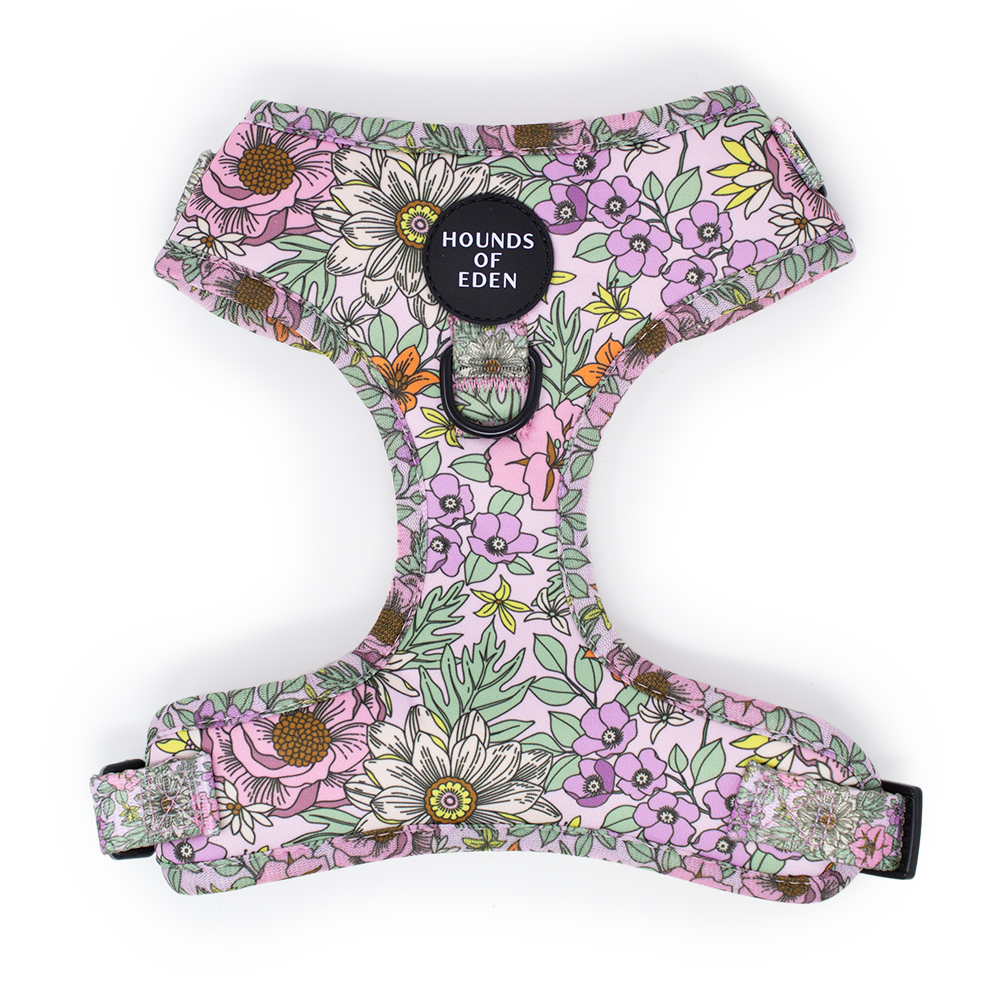 Wild Blossom - Design Dog Collar