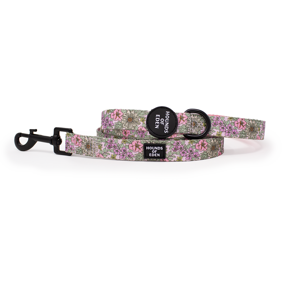 Wild Blossom - Design Dog Collar