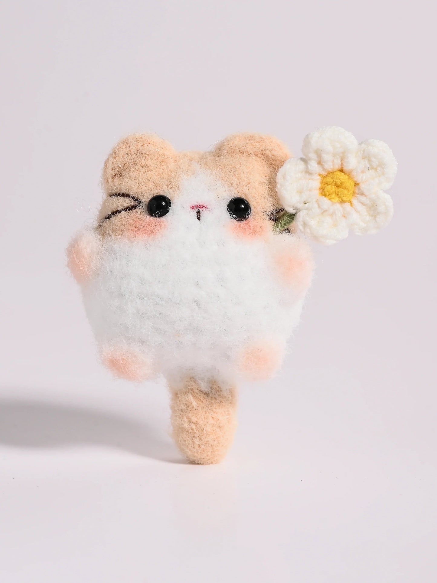 Little Square Cute Kitten Collection