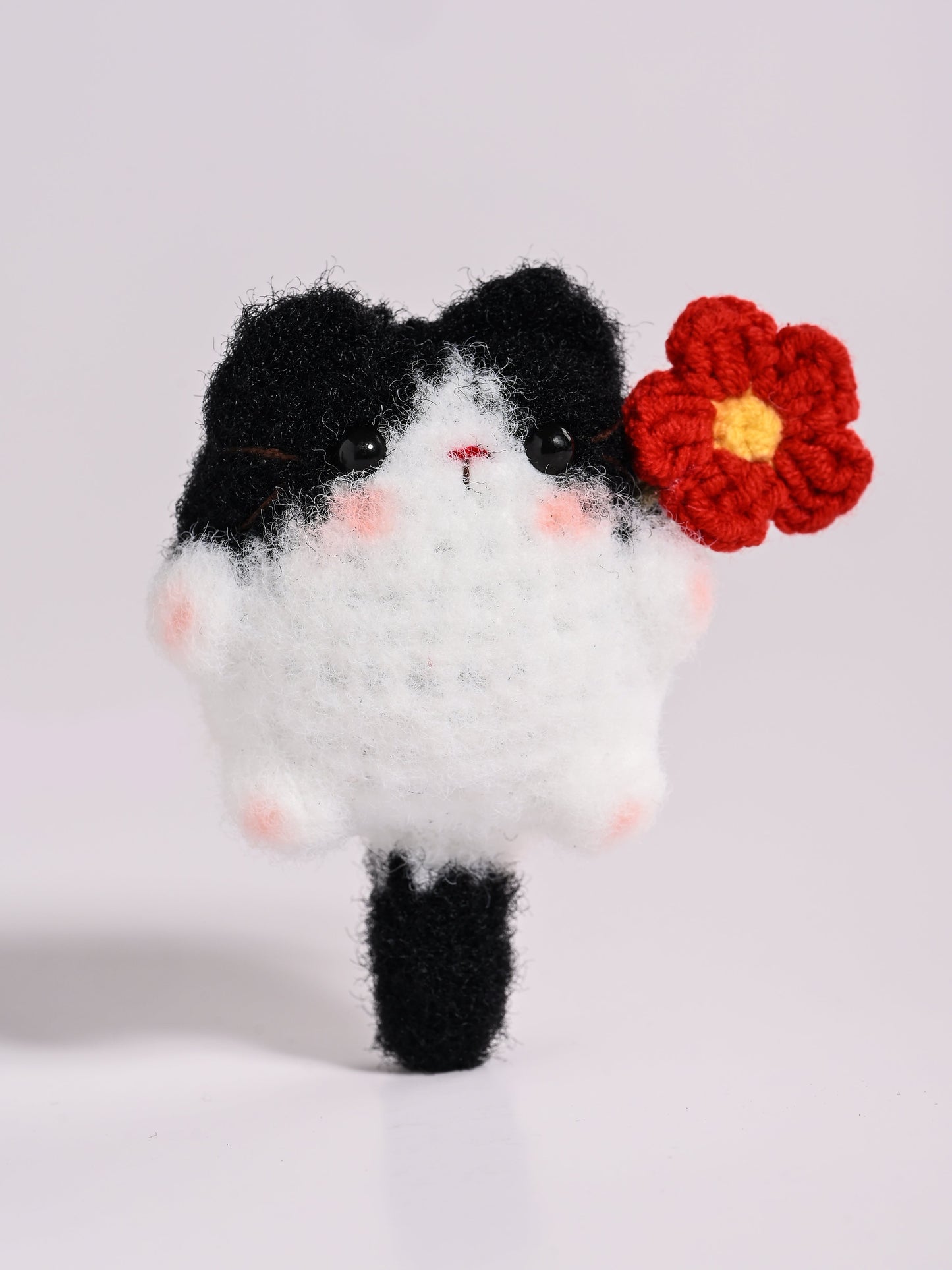 Little Square Cute Kitten Collection