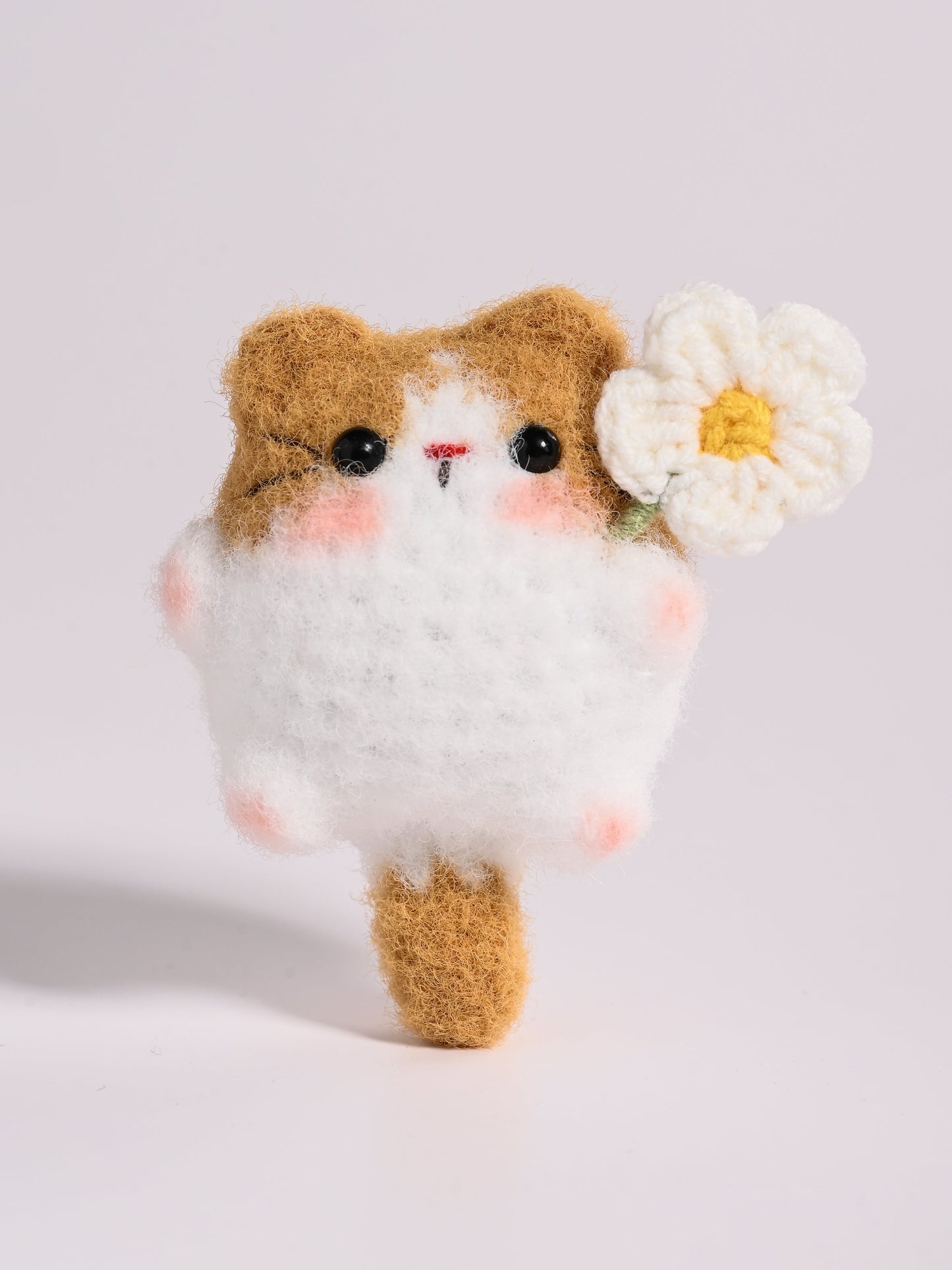 Little Square Cute Kitten Collection