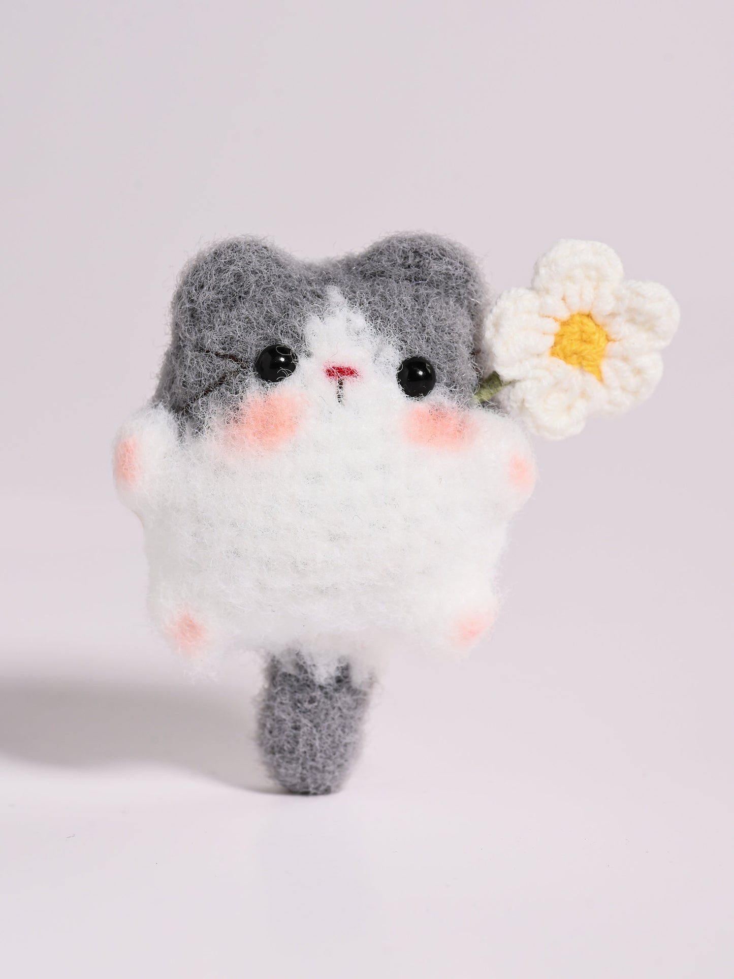 Little Square Cute Kitten Collection