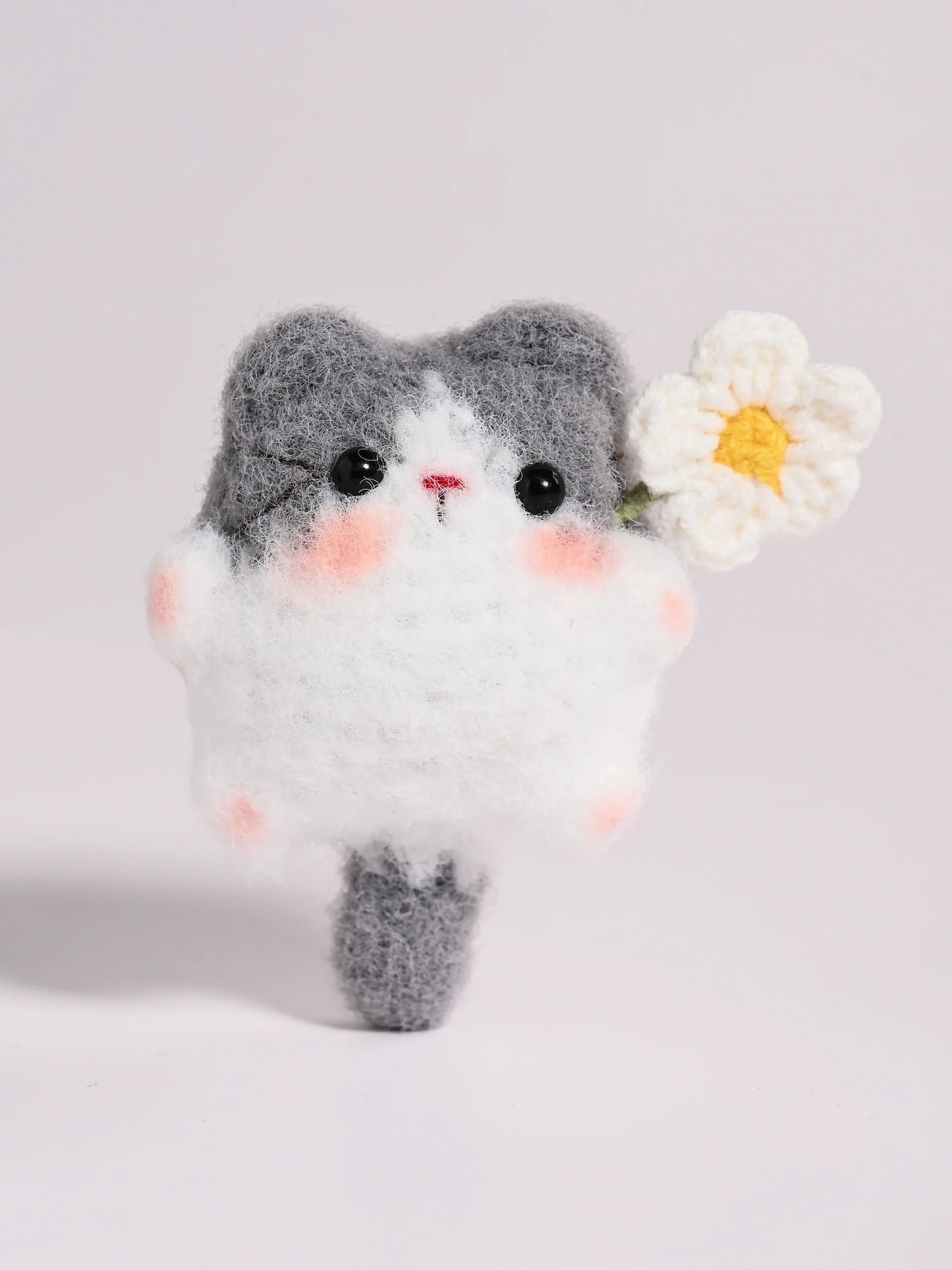 Little Square Cute Kitten Collection