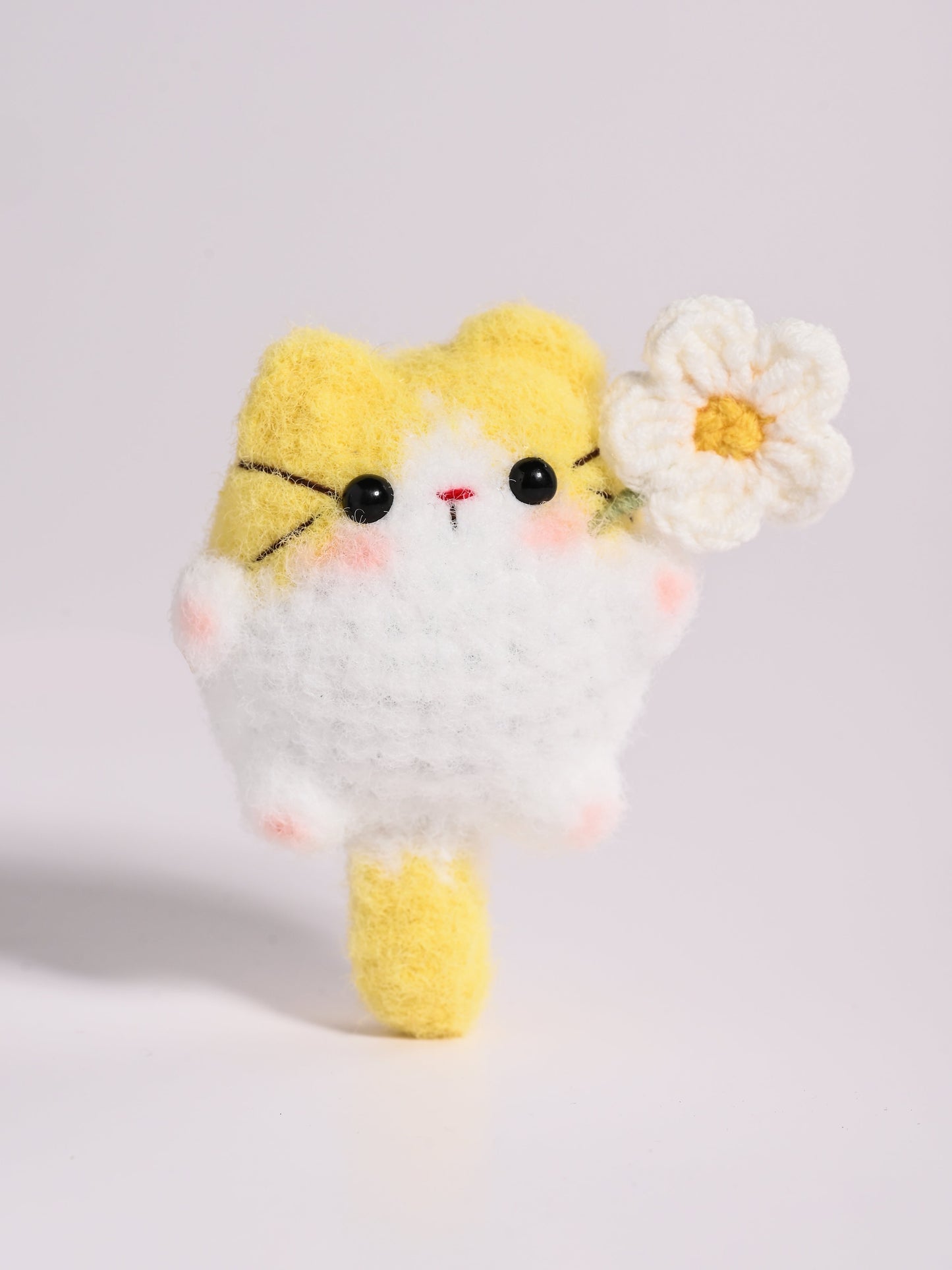 Little Square Cute Kitten Collection