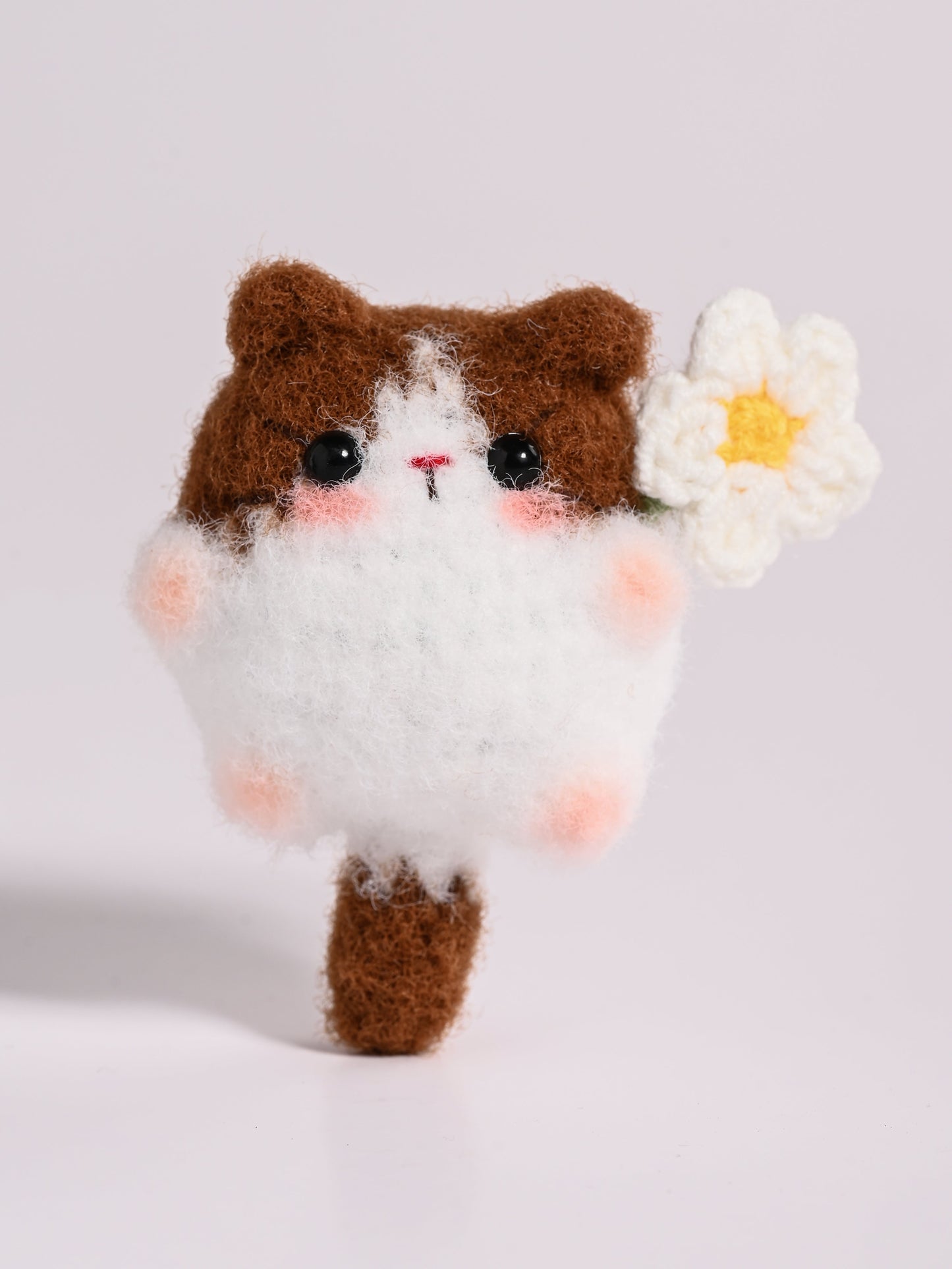 Little Square Cute Kitten Collection