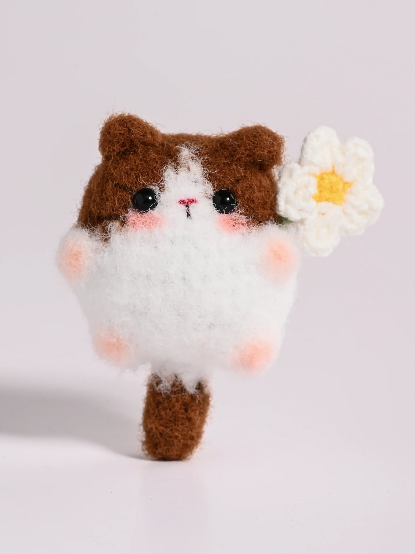Little Square Cute Kitten Collection
