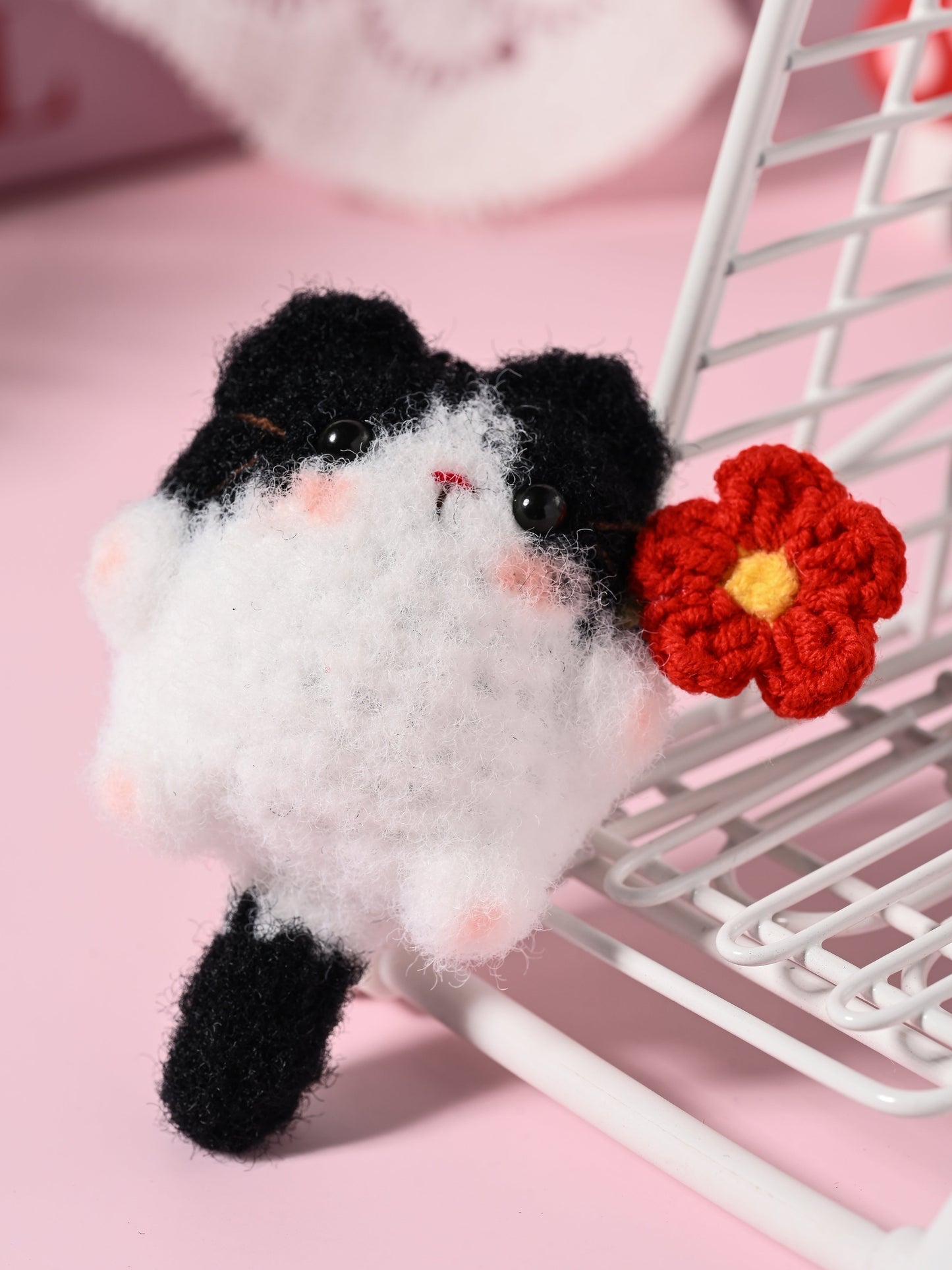 Little Square Cute Kitten Collection