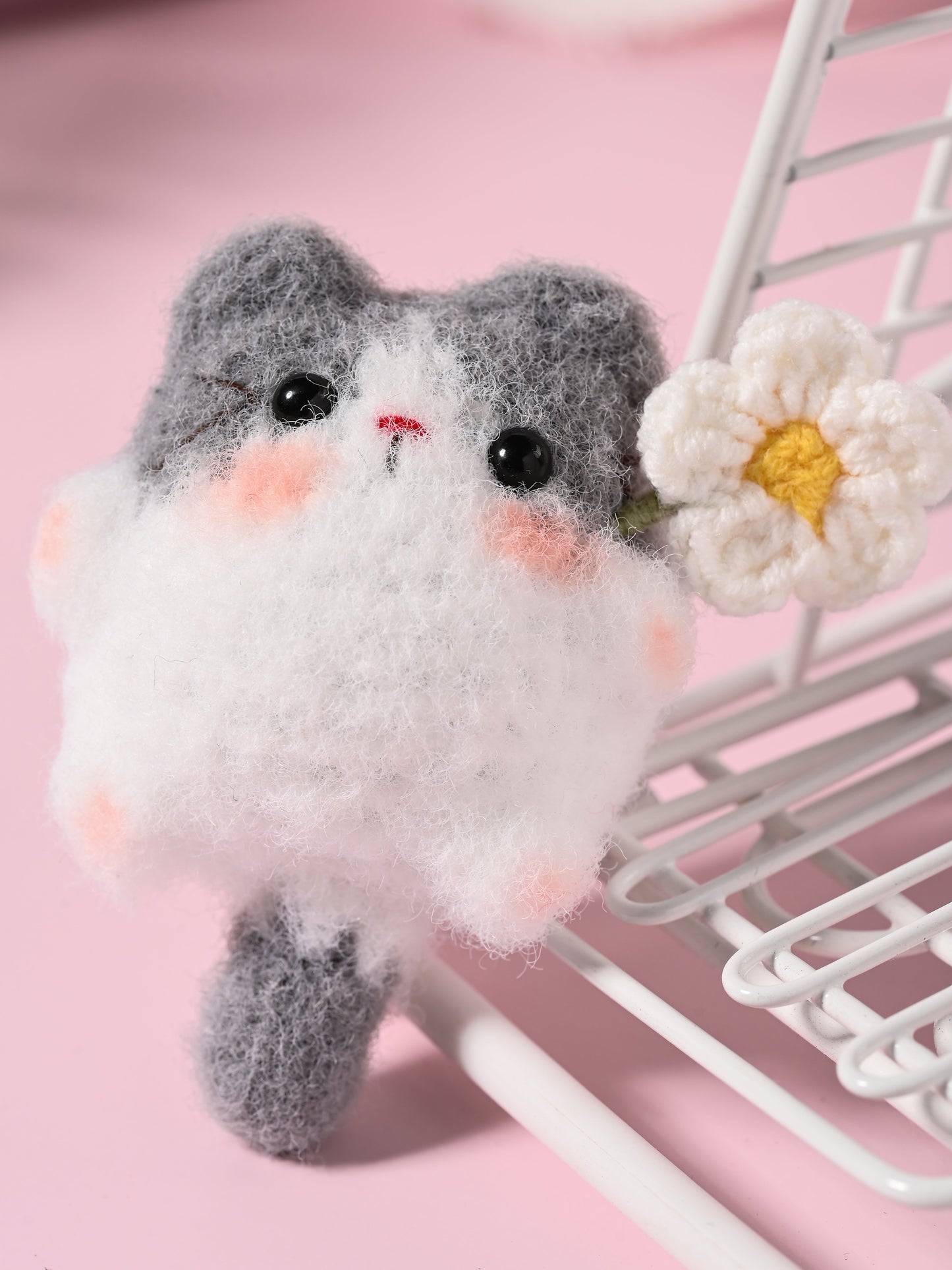 Little Square Cute Kitten Collection