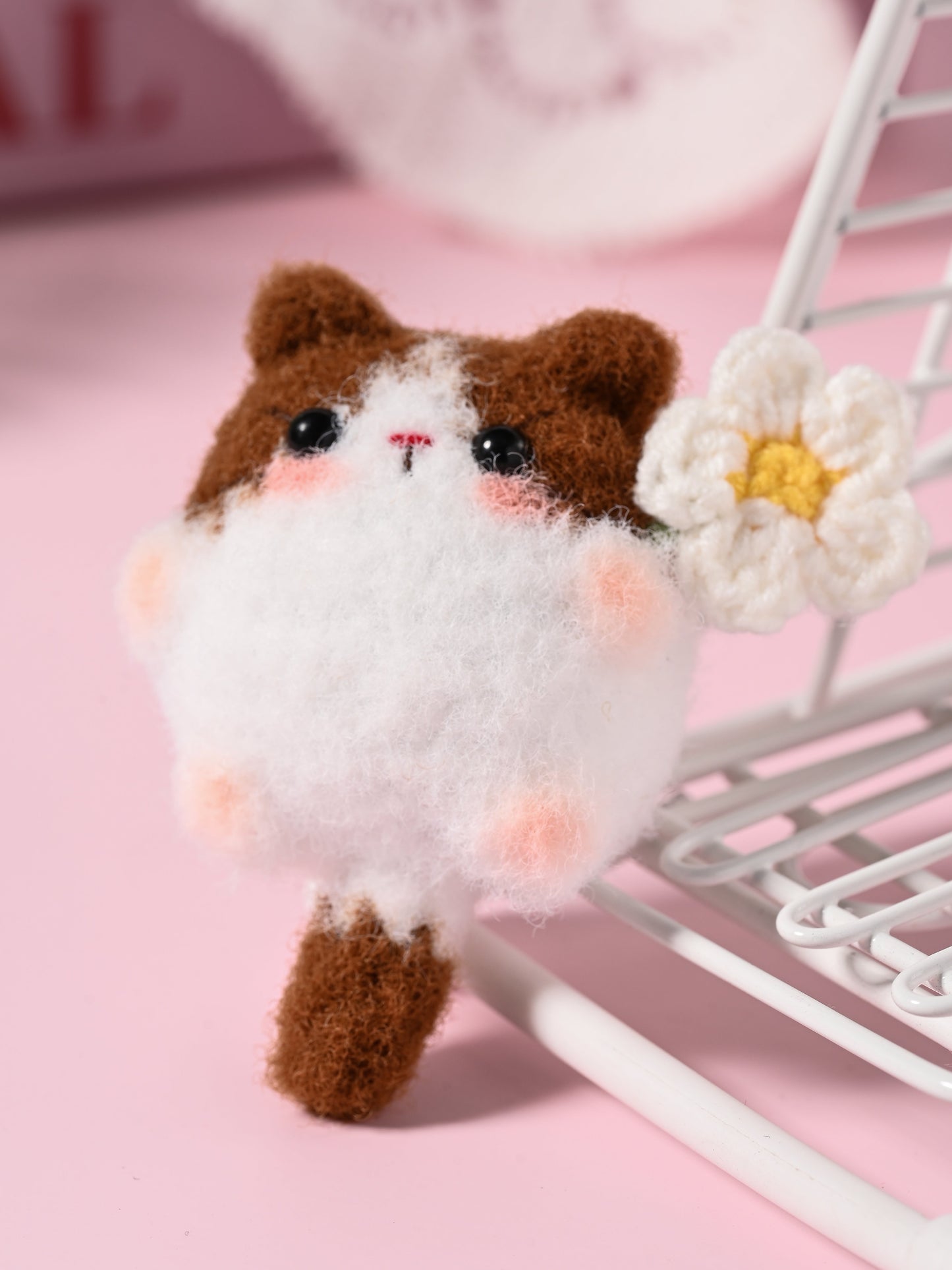 Little Square Cute Kitten Collection