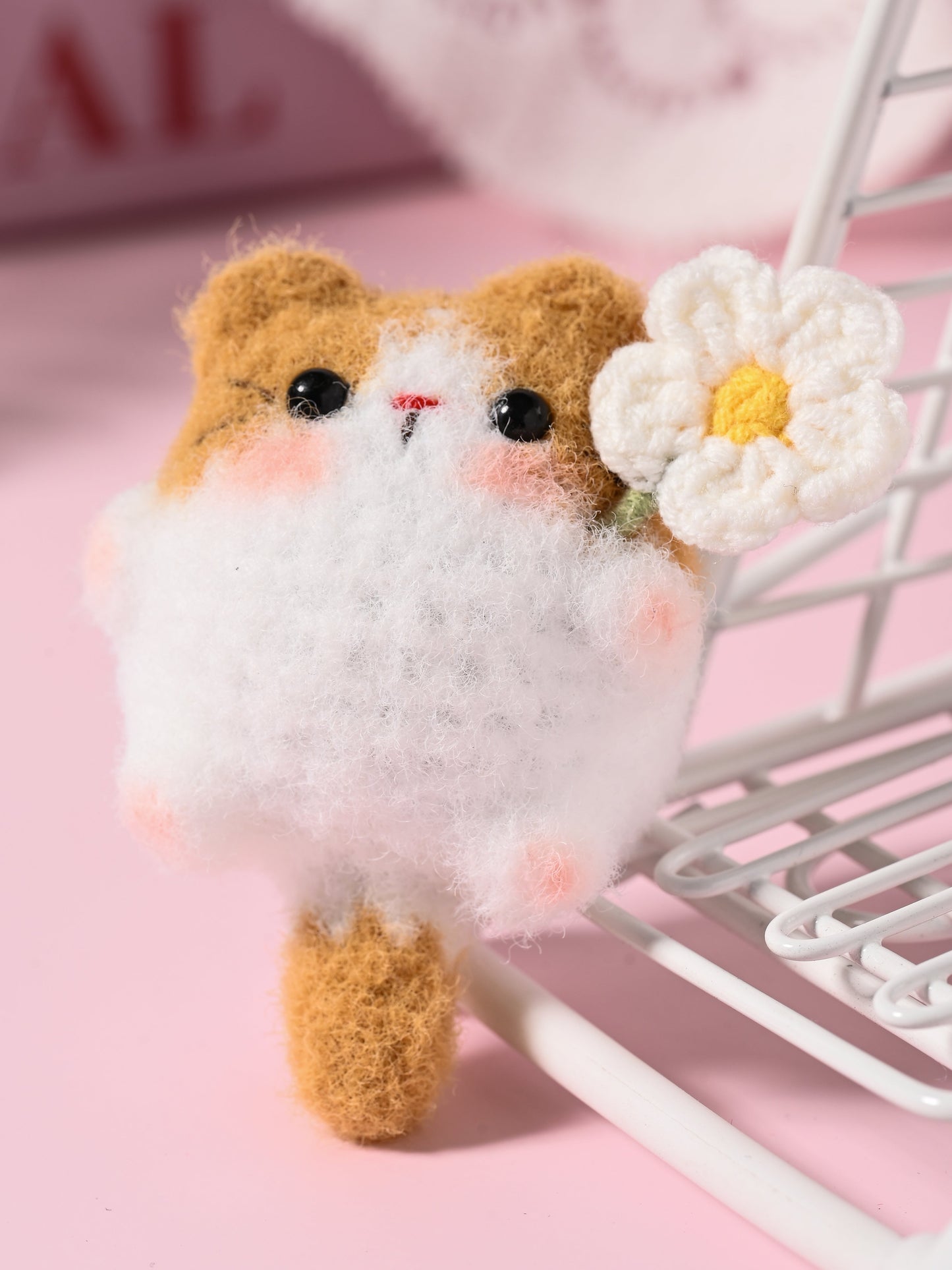 Little Square Cute Kitten Collection