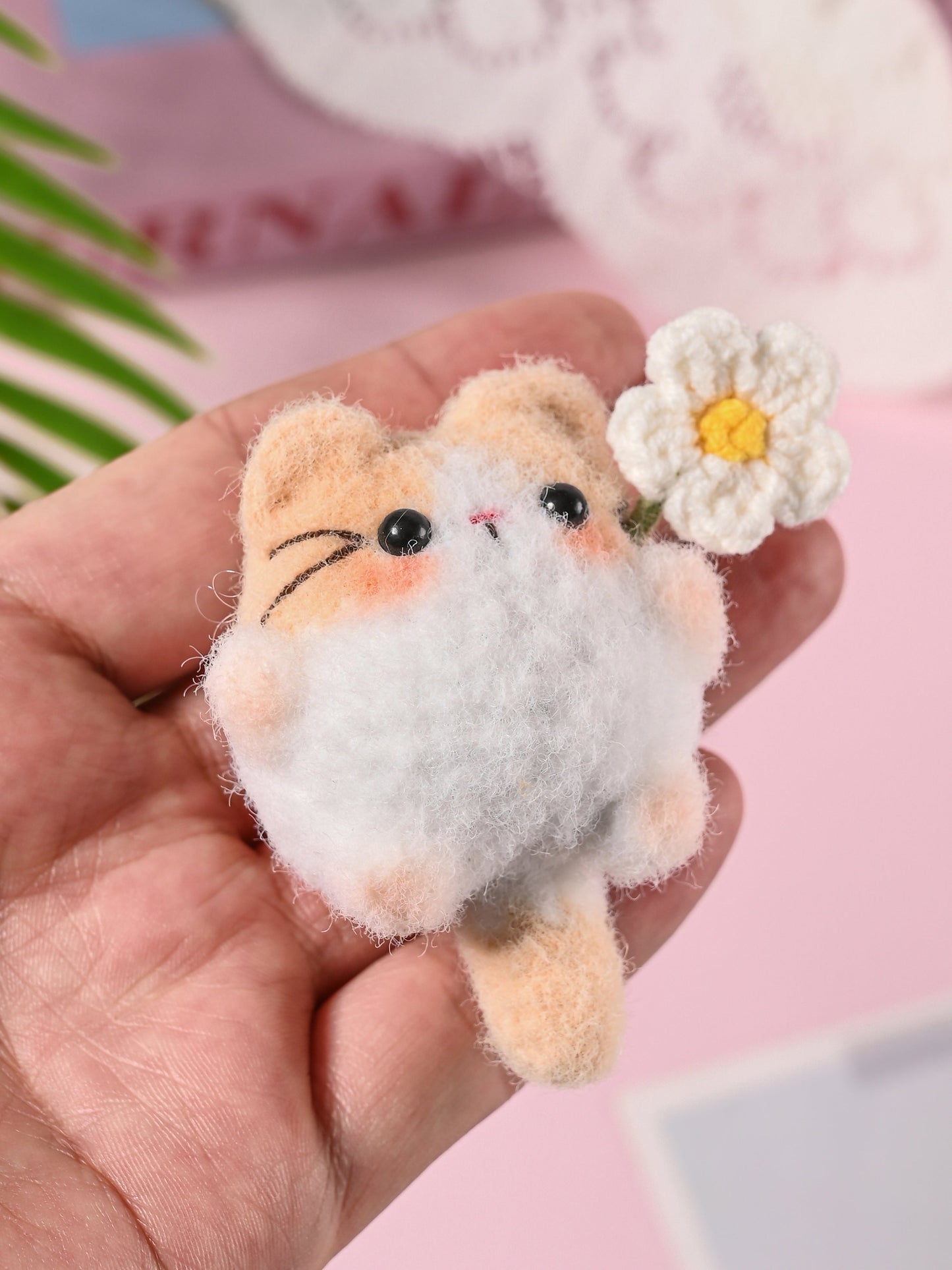 Little Square Cute Kitten Collection