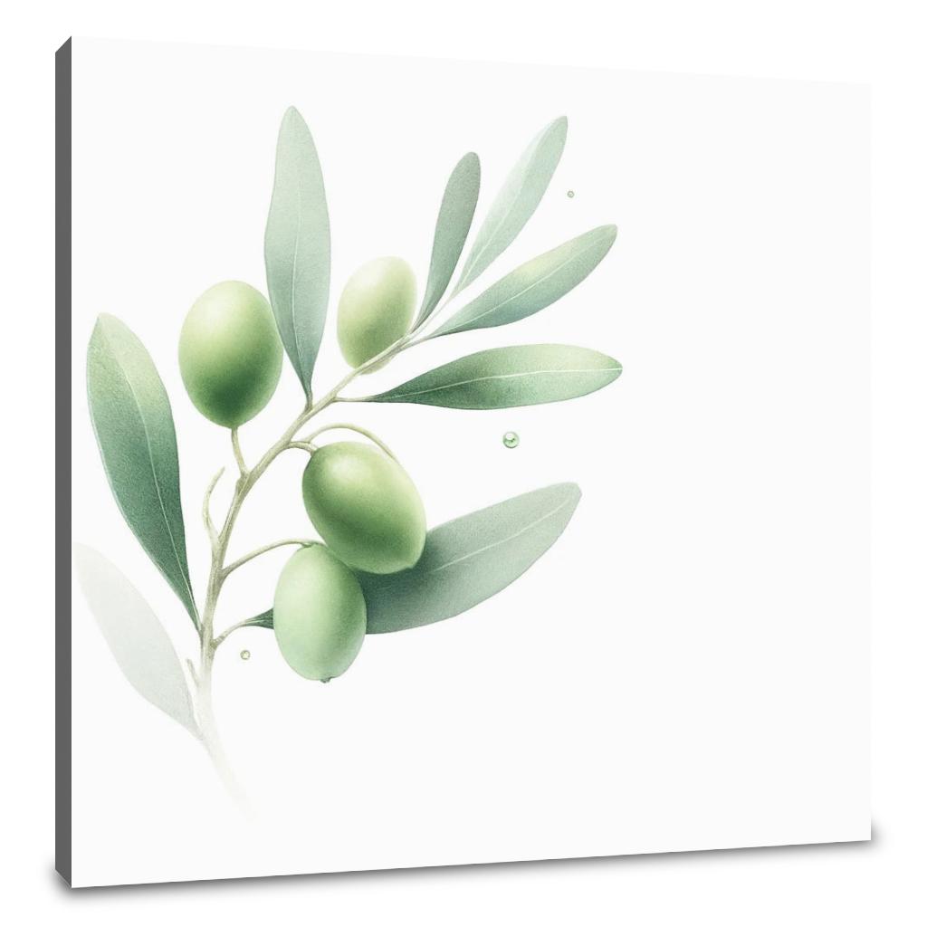 Ethereal Olive Branch Canvas