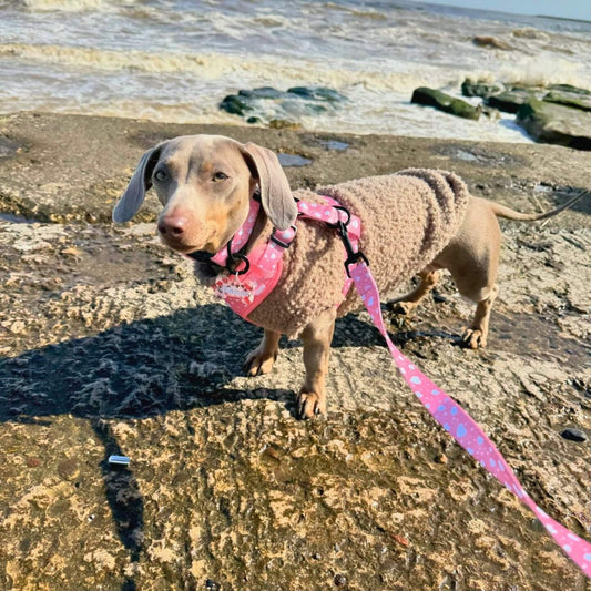 Lead - Peachy Hearts